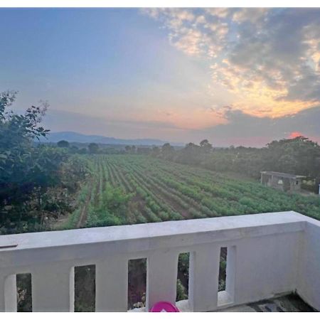 Hari Homestay, Garudeshwar Екстериор снимка